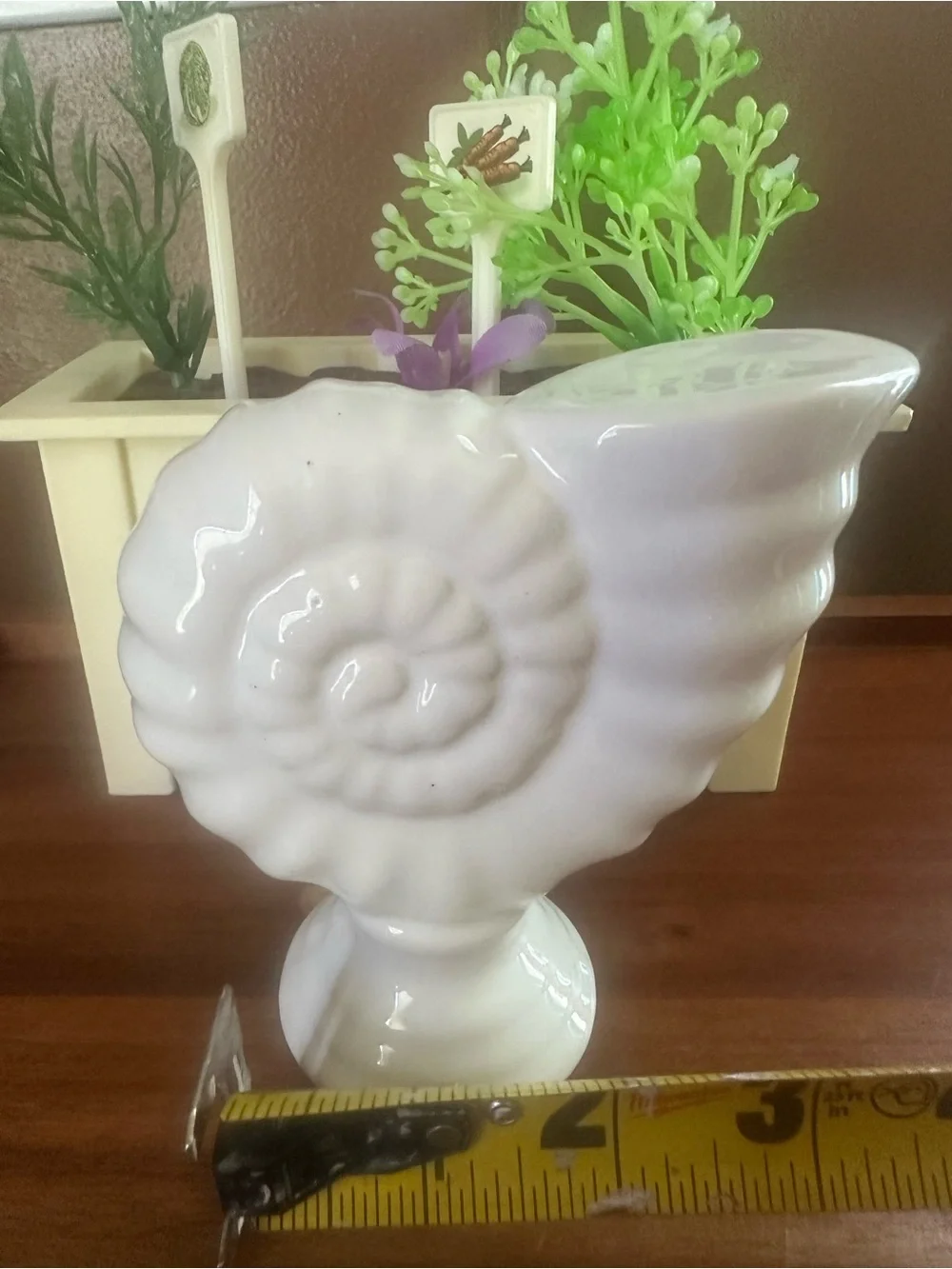 White Ceramic Shell Vases - Decorative Home Accents